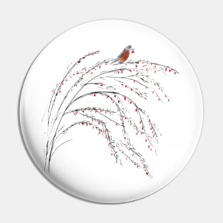 Robin on a goji bush Pin