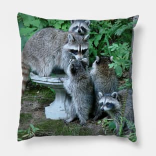 Raccoon Mom with 4 Kits Pillow