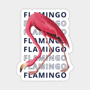 FLAMINGO - Typography Magnet