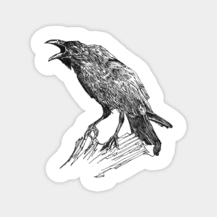 Raven scientific nature black ink pen drawing illustration Magnet