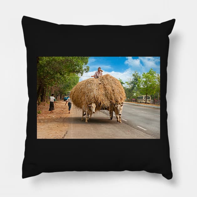 Hay, Bago. Pillow by bulljup