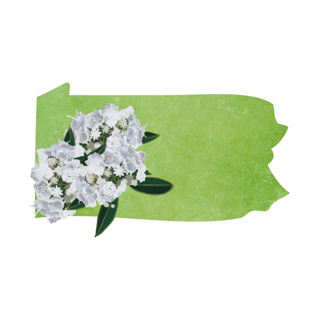 Pennsylvania Mountain Laurel by Lavenderbuttons