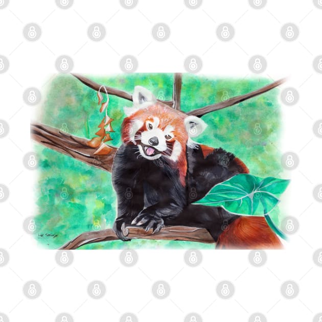 Red Panda by lucafon18