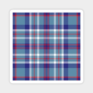 Illinois State Tartan Magnet