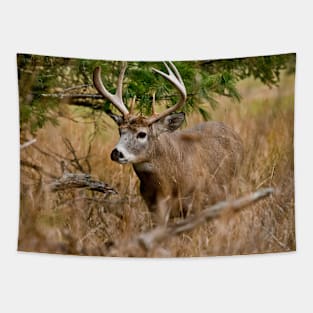 White-tailed Deer Tapestry