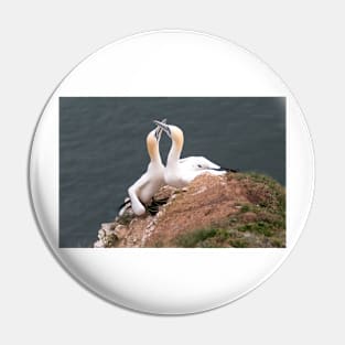 Pair of gannets Pin