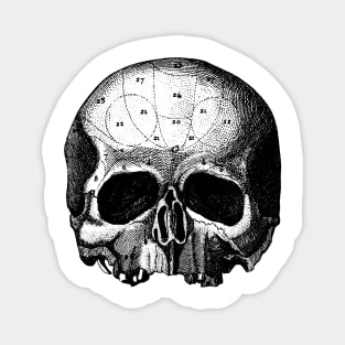 Skull 0000-60 Magnet