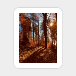 Sun rising behind autumn trees Magnet