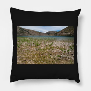 Lake Coleridge Pillow