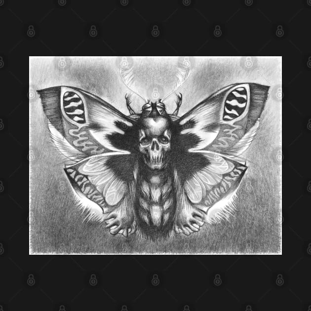 Ethereal Deadhead Moth Graphite Art - Mysterious Insect Drawing by Vlad