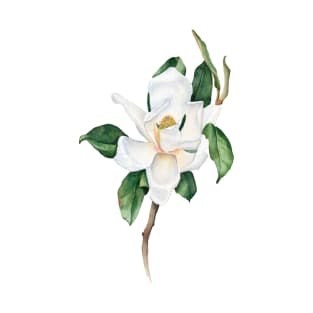 Watercolor white magnolia painting. T-Shirt