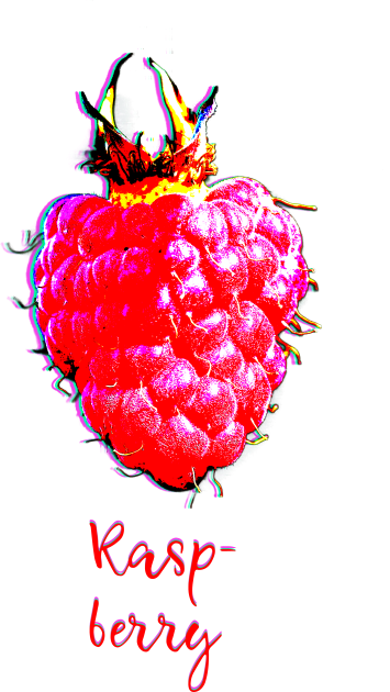 Fruit Identity Raspberry Kids T-Shirt by emma17
