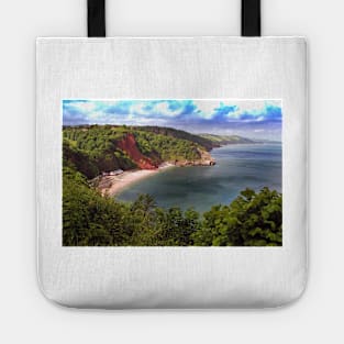 Oddicombe Beach Babbacombe Bay Devon Tote