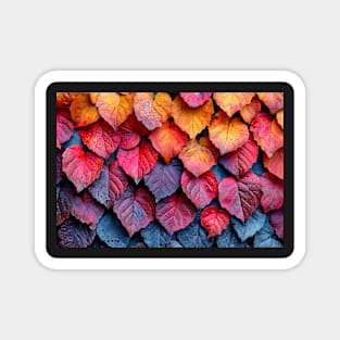 Colorful Autumn Leaves - Landscape Magnet