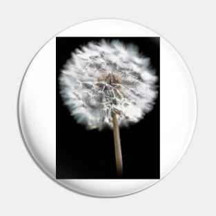 Dandelion Seed Head Pin