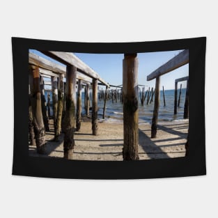 Cape Cod seafront Tapestry