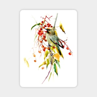 Waxwing Magnet