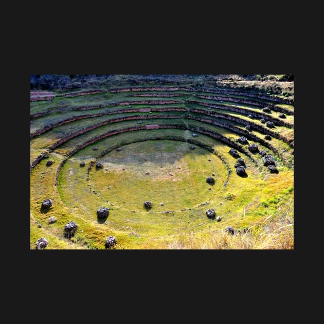 Pérou - Cuzco - Site de Moray by franck380