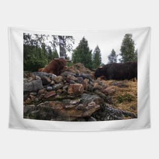 Scottish Highland Cattle Bulls 2083 Tapestry