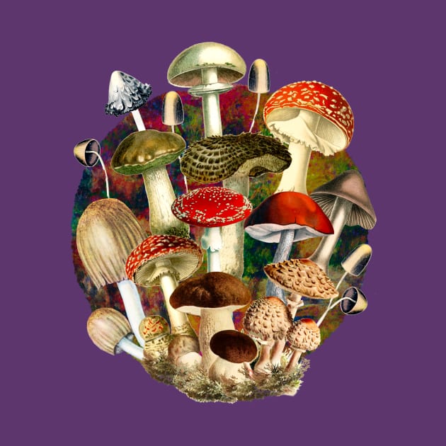 Mushroom night forest, mushroom art, mycology, multicoloured cottage core aesthetic design over a by Zeinab taha