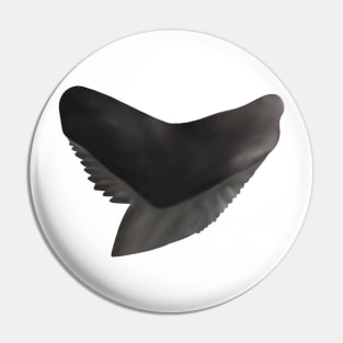 Tiger Shark Tooth Pin