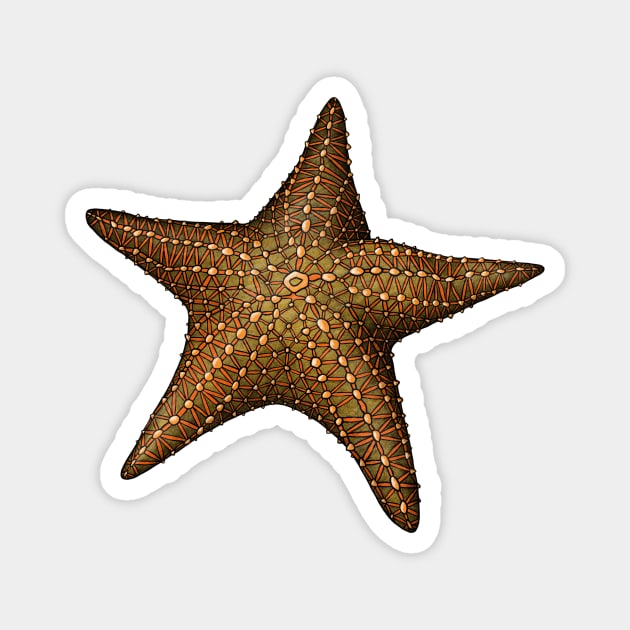 Starfish Magnet by Akman