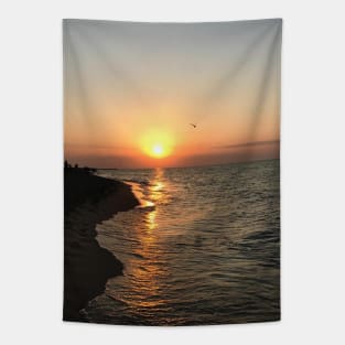 Beautiful photo of ocean waves and sunset sky landscape USA nature lovers Tapestry