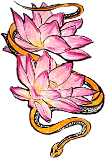 Pink Lotus, Orange Snake Magnet