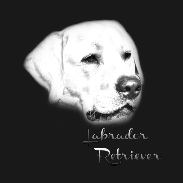 Labrador Retriever (silver sketch)! Especially for Labrador Retriever owners! by rs-designs