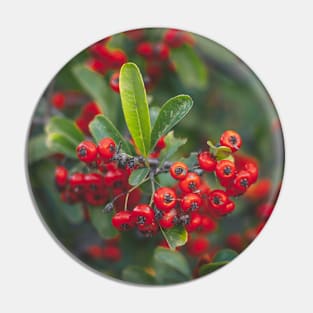 Berries Pin