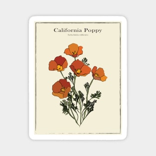 California Poppy Vintage Botanical Poster Magnet