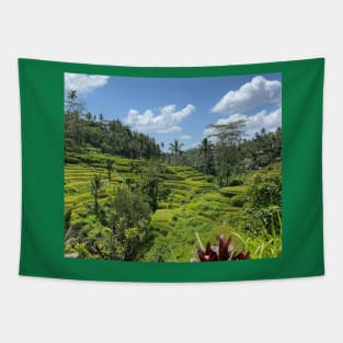 beauty of nature Tapestry