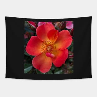 The Heart Frequency of the Orange Rose is Love Tapestry