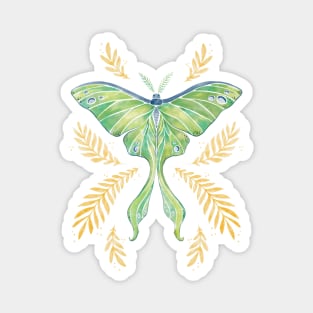 Watercolor Luna Moth Magnet