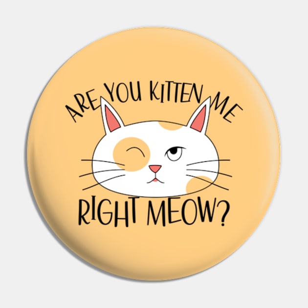 Are You Kitten Me Right Meow Funny Cat Pin by JaiStore