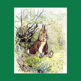 Benjamin Bunny - Beatrix Potter T-Shirt