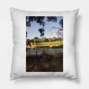 The Pinot Patch - Adelaide Hills - Fleurieu Peninsula - by South Australian artist Avril Thomas Pillow