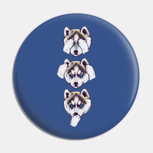 NO EVIL HUSKY Pin