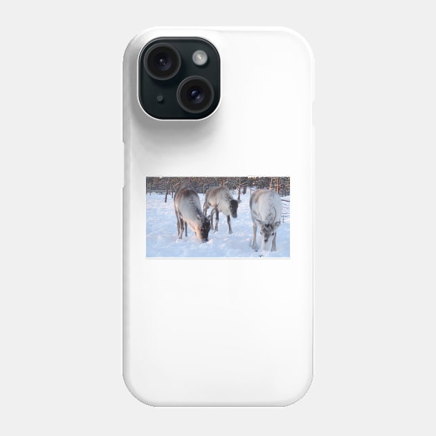 Feeding the reindeer in the snow Phone Case by Aurealis