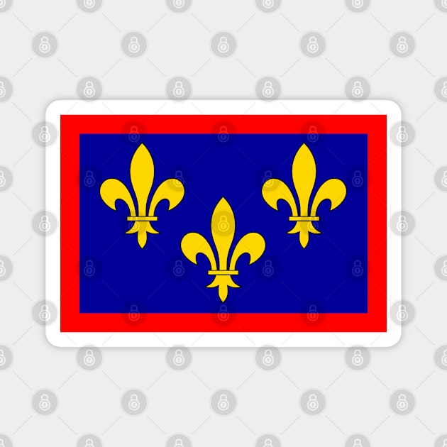 Flag of Maine-et-Loire (France) Magnet by Ziggy's