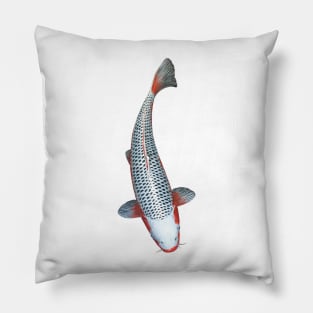 Koi Fish Asagi Variety Pillow