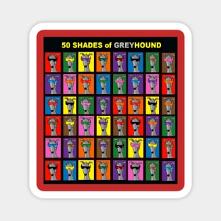 50 Shades of Greyhound Magnet