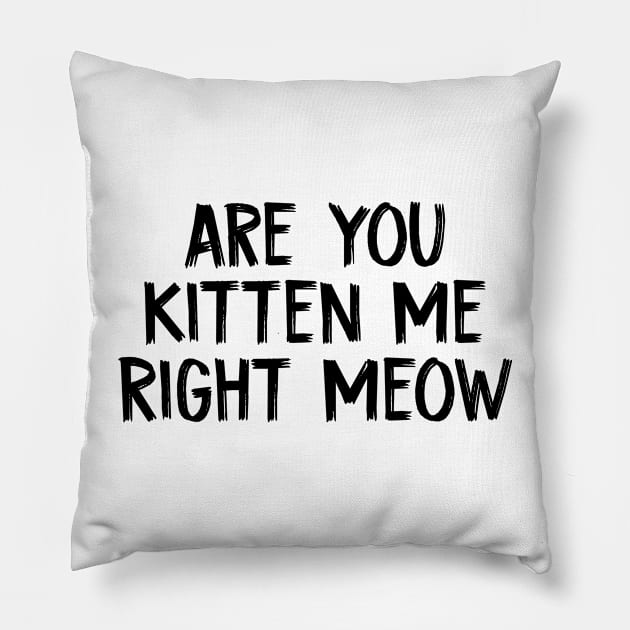 Are You Kitten Me Right Meow Pillow by TIHONA