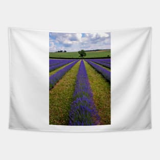 Lavender Field Purple Flowers Cotswolds England Tapestry