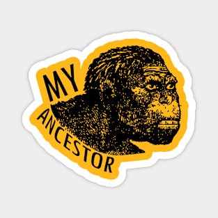 My Ancestor Face Magnet