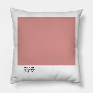 pantone 16-1511 TCX Rose Tan Pillow