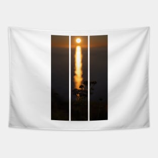 Wonderful landscapes in Norway. Nord-Norge. Beautiful scenery of a midnight sun sunset at Nordkapp (Cape North). Boat and globe on a cliff. Rippled sea and clear orange sky. (vertical) Tapestry