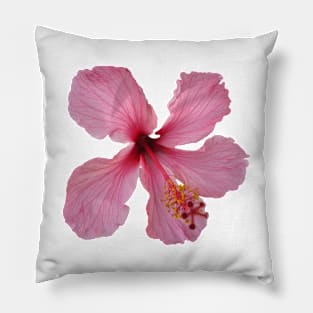 Pink Hibiscus  flower Pillow