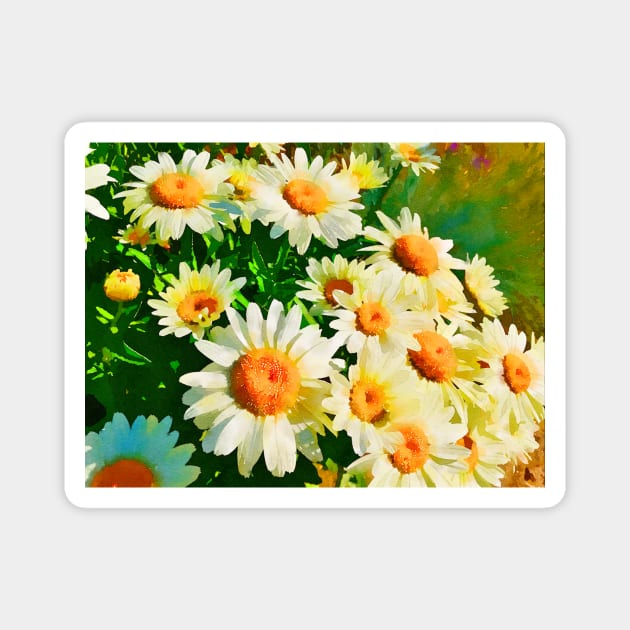 Daisies Watercolor Magnet by terrybain