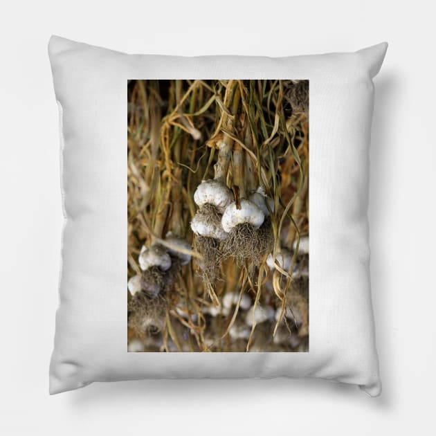 Hanging Garlic (vert) Pillow by photoclique